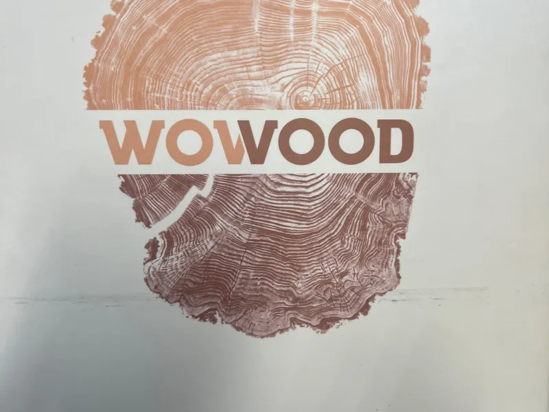 Odborná exkurze do firmy WOWOOD