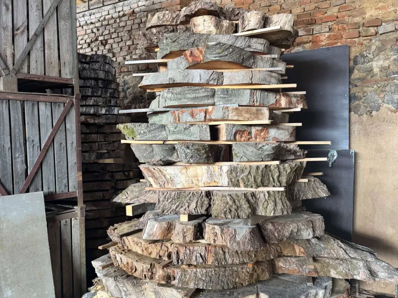 Odborná exkurze do firmy WOWOOD