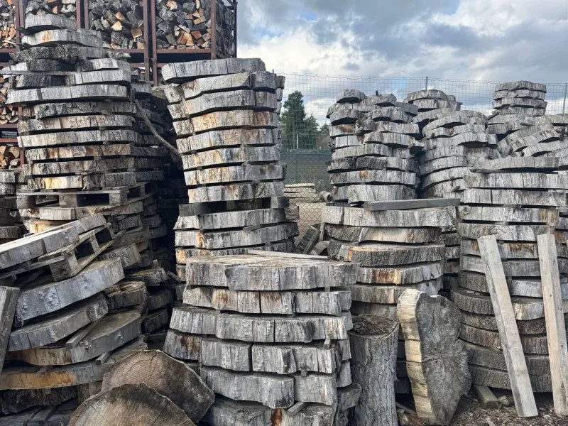 Odborná exkurze do firmy WOWOOD