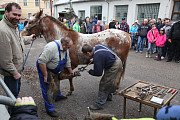 IX. ročník kovářského dne v Oselcích 22. 11. 2014